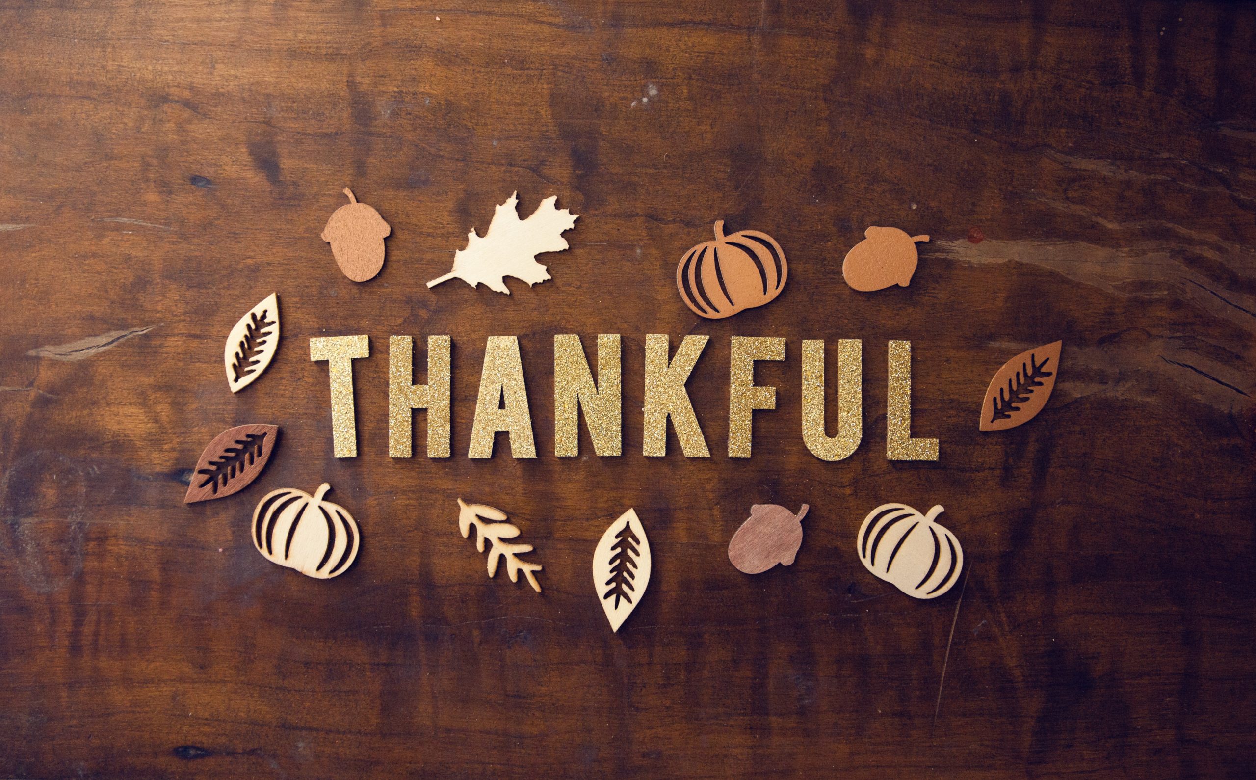 Die-cuts of the word Thankful with leaves pumpkins and acorns surrounding it.