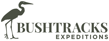 Bushtracks Expeditions Business Logo